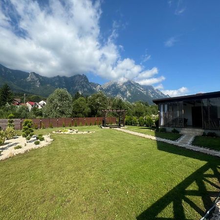 Casuta Doi Ponei Villa Buşteni Dış mekan fotoğraf